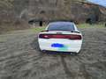 Dodge Charger 3,6 V6 Weiß - thumbnail 5