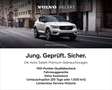 Volvo XC40 D4 AWD Geartronic R-Design *AHK * IntelliSafe Pro* Grau - thumbnail 21