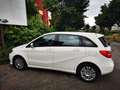 Mercedes-Benz B 200 ngd Premium - thumbnail 13