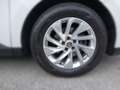 Renault Espace ESPACE Intens dCi 160 EDC Euro6 6-Gang Weiß - thumbnail 5