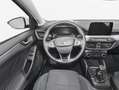 Ford Focus 1.0 Ecoboost MHEV Active 155 Blanco - thumbnail 28