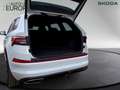 Skoda Kodiaq 2.0 TSI DSG 4x4 RS ACC AHK Pano Kam Navi Matrix LH Weiß - thumbnail 3