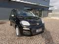 Fiat Panda 1.0 FireFly S&S Hybrid Nero - thumbnail 3