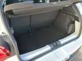Dacia Sandero Stepway 1.0 TCe ECO-G Comfort Blanco - thumbnail 9