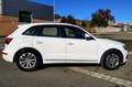 Audi Q5 Q5 2.0TDI ultra 150 Blanco - thumbnail 4
