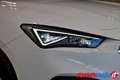 SEAT Leon SPORTSTOURER 2.0 TDI 150 CV DSG BUSINESS + STYLE P Bianco - thumbnail 8