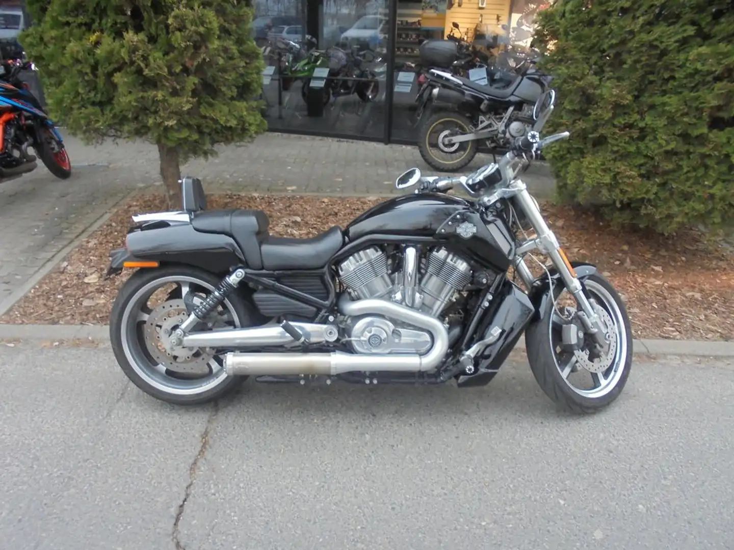 Harley-Davidson V-Rod Muscle Schwarz - 2