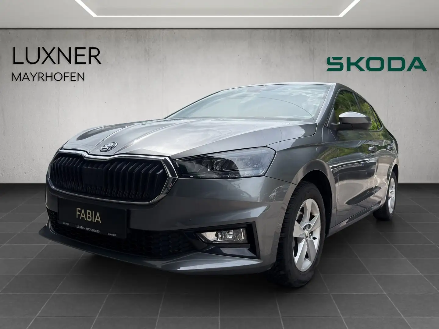 Skoda Fabia Selection TSI Grau - 1