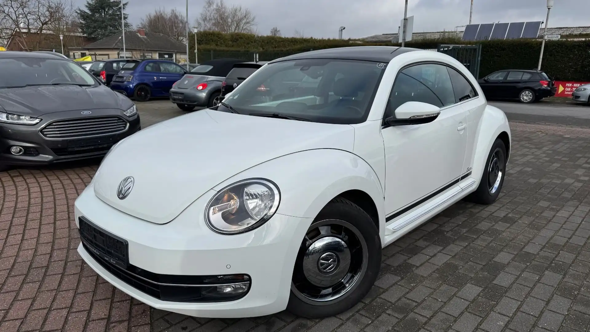Volkswagen Beetle Cup 1.4 TSI | SITZ-HEIZUNG |PARKHILFE Biały - 2