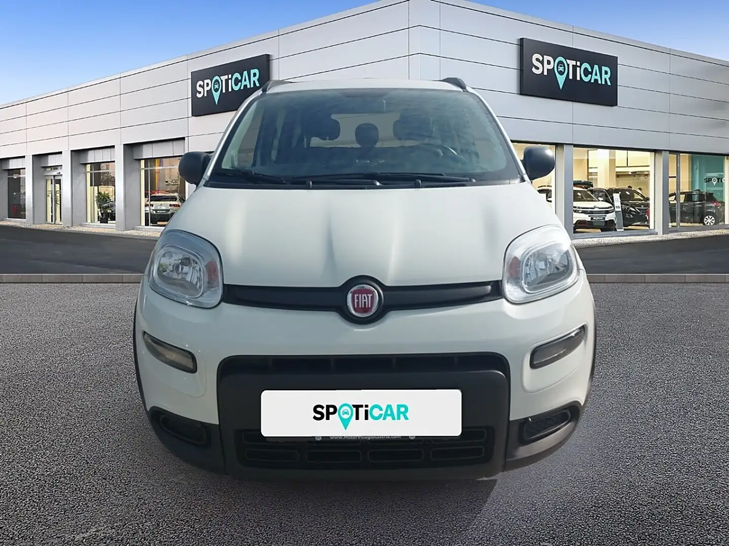 Fiat Panda 4x2 FireFly Hybrid 70 City Life Weiß - 2