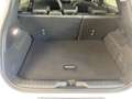 Ford Puma 1.0 EcoBoost Mild Hybrid Titanium X S/S NAVI*LE... Weiß - thumbnail 22
