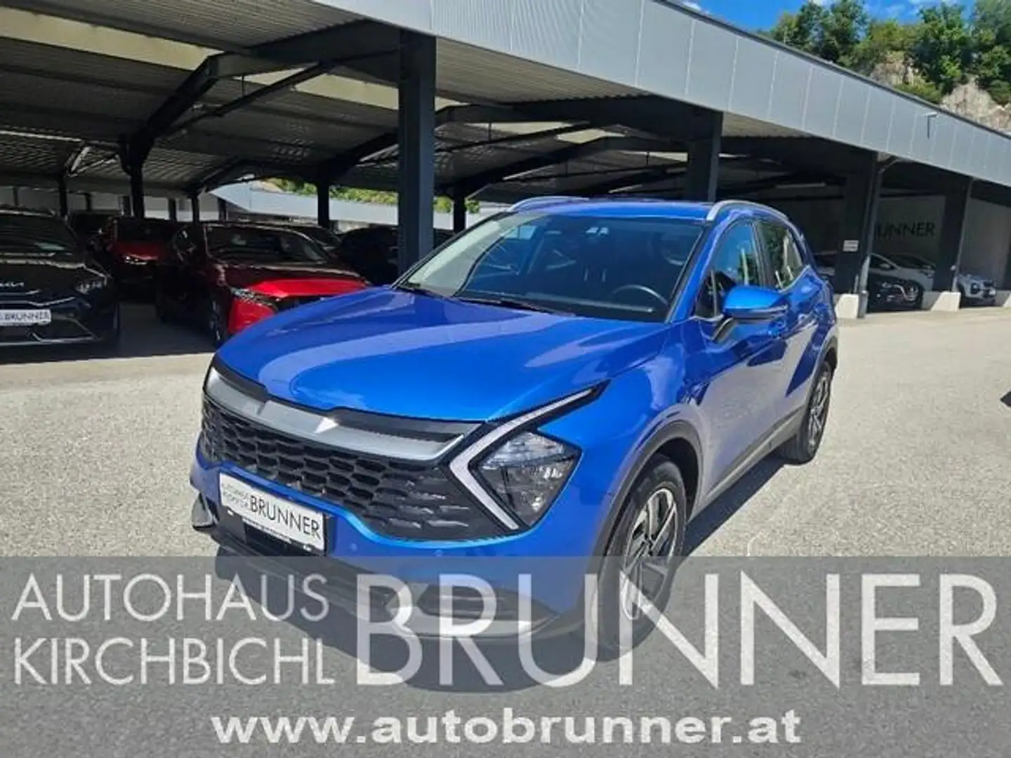 Kia Sportage 1,6 TGDI HEV Silber Aut. Blau - 2