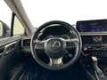 Lexus RX 450h Executive Line+sunroof Šedá - thumbnail 10