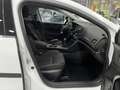 Renault Megane IV Experience 1.5 dCi 110*NAVI*TEMPO*PDC Weiß - thumbnail 20