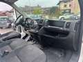 Fiat Ducato Ducato 2.3 MJT 130CV L2H2 NETTO!! Blanc - thumbnail 9