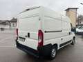 Fiat Ducato Ducato 2.3 MJT 130CV L2H2 NETTO!! Blanc - thumbnail 4