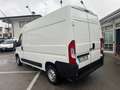 Fiat Ducato Ducato 2.3 MJT 130CV L2H2 NETTO!! Blanc - thumbnail 6