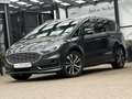 Ford S-Max Titanium 2.0 EcoBlue, 7-Sitzer, Leder, ACC, Sound Grigio - thumbnail 1