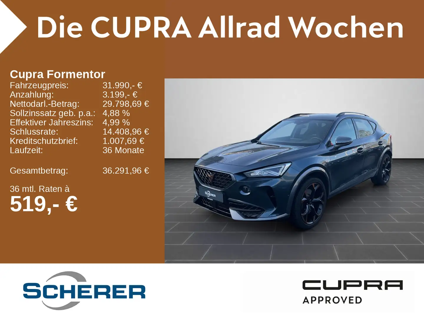 CUPRA Formentor VZ 2.0 TSI 4Drive DSG CarPlay Rückfahr Grau - 1