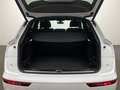 Audi Q5 S line edition one 40 TDI quattro Matrix-LED Weiß - thumbnail 13