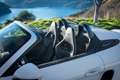 Porsche Boxster Spyder III (981) 3.8 375ch Weiß - thumbnail 12