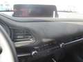 Mazda CX-30 /G140/Nagisa Schwarz - thumbnail 15