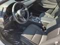 Mazda CX-30 2.0L SKYACTIVE-G 150 Automatik EXCLUSIVE Wit - thumbnail 5