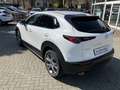 Mazda CX-30 2.0L SKYACTIVE-G 150 Automatik EXCLUSIVE Wit - thumbnail 4