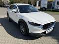 Mazda CX-30 2.0L SKYACTIVE-G 150 Automatik EXCLUSIVE Wit - thumbnail 2