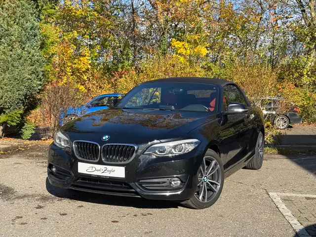 BMW 218 i Cabrio Sport 17" aLED AHK Navi PDC 1. HAND
