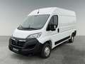 Opel Movano 3300  L2H2 * 23 123  €  Excl btw NAVI.CAMERA.DODE Blanc - thumbnail 1