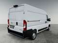 Opel Movano 3300  L2H2 * 23 123  €  Excl btw NAVI.CAMERA.DODE Blanc - thumbnail 2