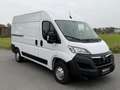 Opel Movano 3300  L2H2 * 23 123  €  Excl btw NAVI.CAMERA.DODE Blanc - thumbnail 11
