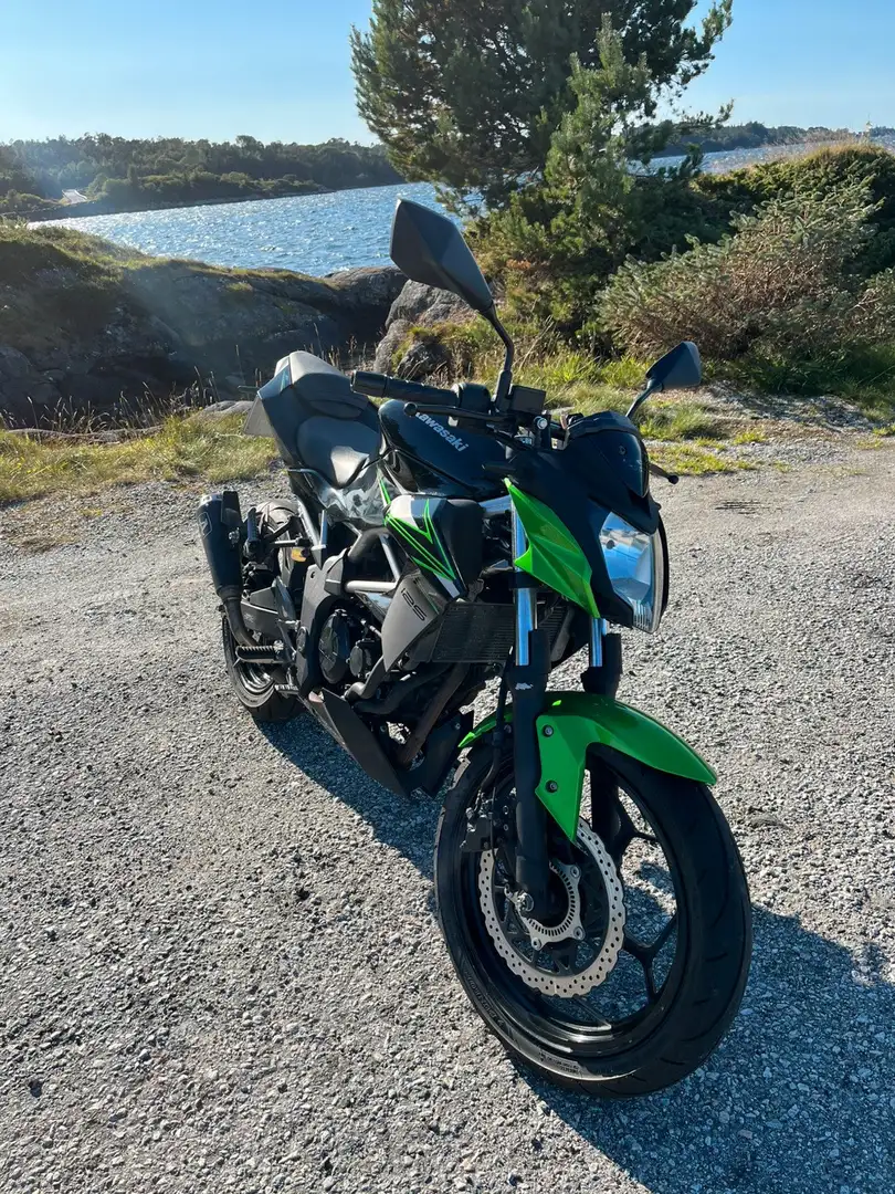 Kawasaki Z 125 Vert - 2