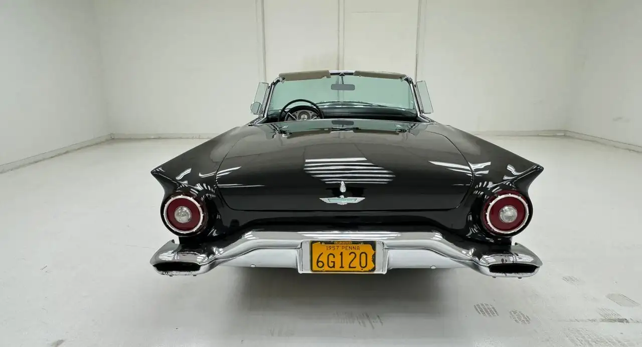 Ford Thunderbird Roadster, foto 7
