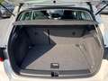 SEAT Arona 1.0 TSI *ROAD-EDITION*AHK-VORBE*PDCHI+VO+K Weiß - thumbnail 9