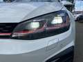 Volkswagen Golf GTI Performance 2.0 TSI DSG *PANO*LED*NAVI* Weiß - thumbnail 5