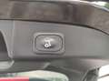 Ford Focus Turnier ST-Line ACC KeyFree LED Navi FSH Schwarz - thumbnail 12