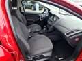 Ford Focus Titanium*EPH vo.+hi.*Sitz + Lenkradheizung Rouge - thumbnail 11