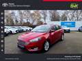 Ford Focus Titanium*EPH vo.+hi.*Sitz + Lenkradheizung Rouge - thumbnail 1