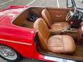 MG MGB OVERDRIVE Rot - thumbnail 38
