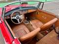 MG MGB OVERDRIVE Rot - thumbnail 28