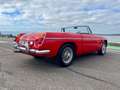 MG MGB OVERDRIVE Rot - thumbnail 24