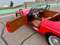 MG MGB OVERDRIVE Rot - thumbnail 29