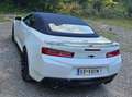 Chevrolet Camaro V8 2SS 6.2L Cabrio Weiß - thumbnail 16