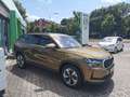 Skoda Kodiaq Selection Navi Alu Klima Gold - thumbnail 2