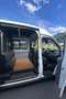 Ford Transit Bus Transit Minibus 2,2 TDCi L2H2 350 Trend Trend Weiß - thumbnail 7