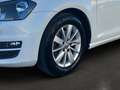 Volkswagen Golf Comfortline 1,6 TDI | Service Neu | Pickerl Neu - thumbnail 14