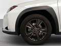 Lexus UX 250h 2.0 Business - thumbnail 16