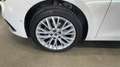 SEAT Leon SP 1.5 TSI 110kW SS Xcellence Go M - thumbnail 19